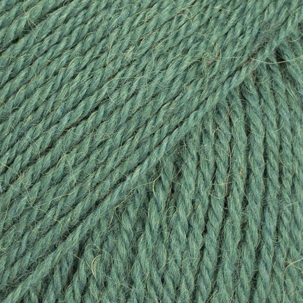DROPS Flora 23 – misty forest